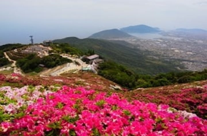 大平山／つつじ