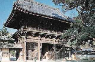 スポットの写真