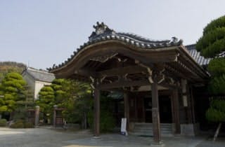 スポットの写真