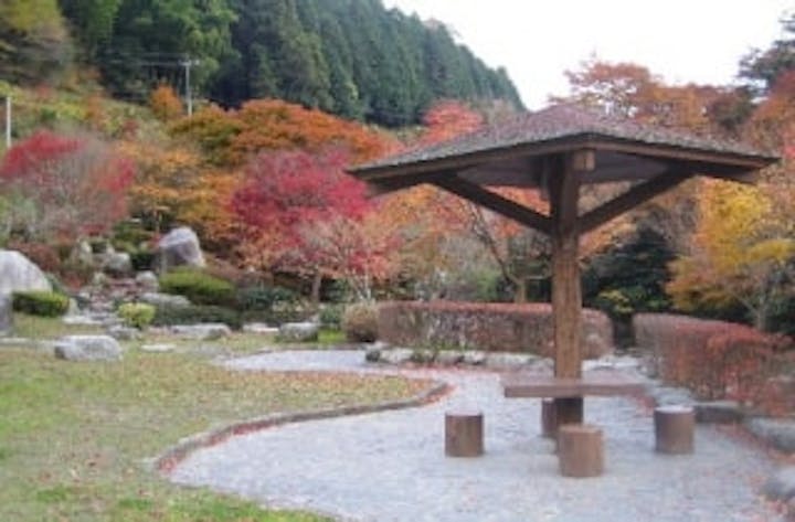 滝ノ口河川公園／もみじ