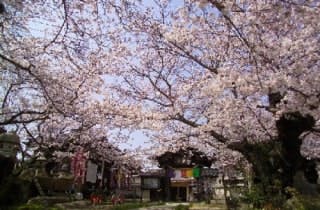 スポットの写真