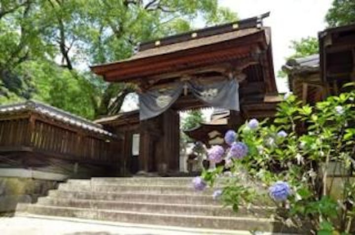 吉香公園／あじさい