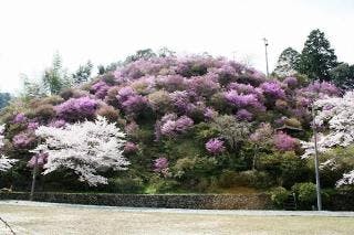 スポットの写真