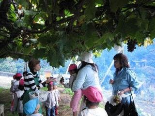 スポットの写真