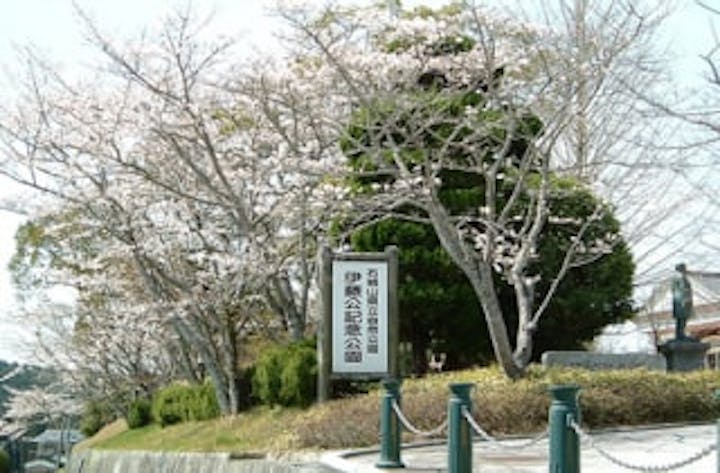 伊藤公記念公園／さくら