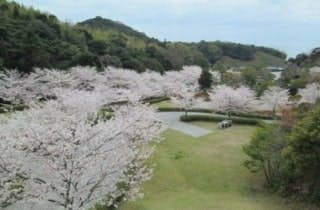 スポットの写真