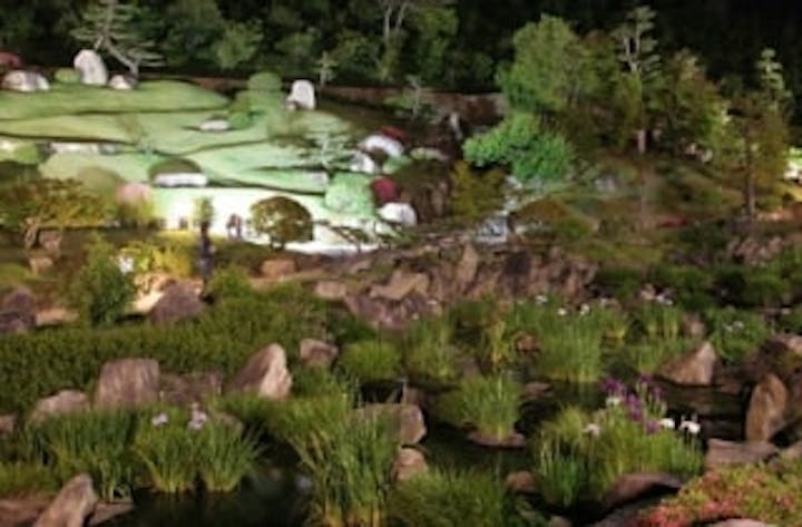 冠山総合公園／しょうぶ