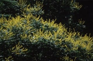 スポットの写真