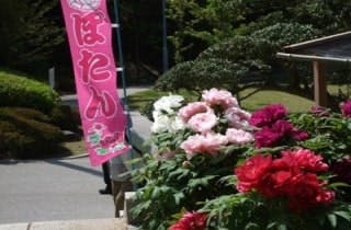 スポットの写真