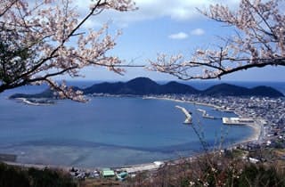 スポットの写真