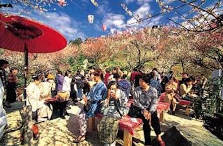 【2021年中止】梅まつり