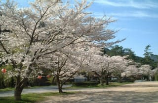 スポットの写真