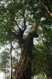 スポットの写真