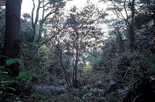 スポットの写真