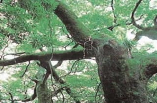 スポットの写真