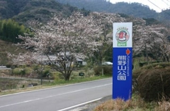 熊野山公園／さくら