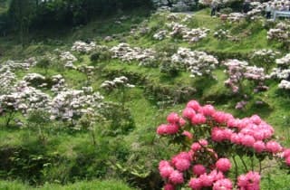 スポットの写真