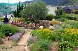 スポットの写真