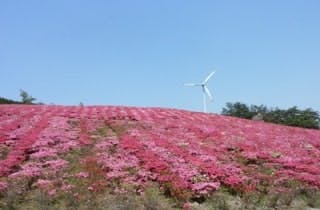 スポットの写真