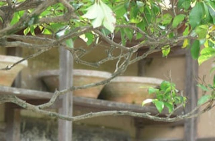 萩焼深川古窯跡群