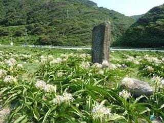 スポットの写真