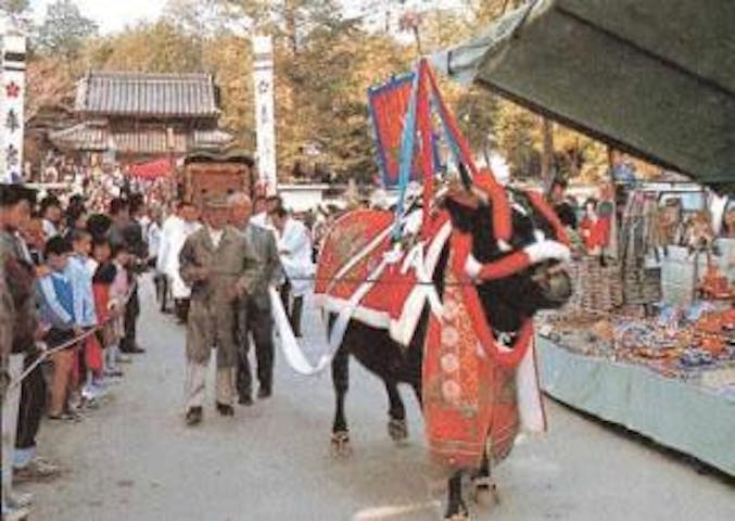 【2021年中止】伊陸天神祭（通称牛天神）