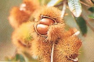 スポットの写真