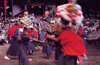 スポットの写真