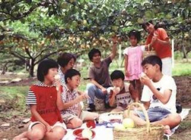 秋芳梨生産販売協同組合／なし