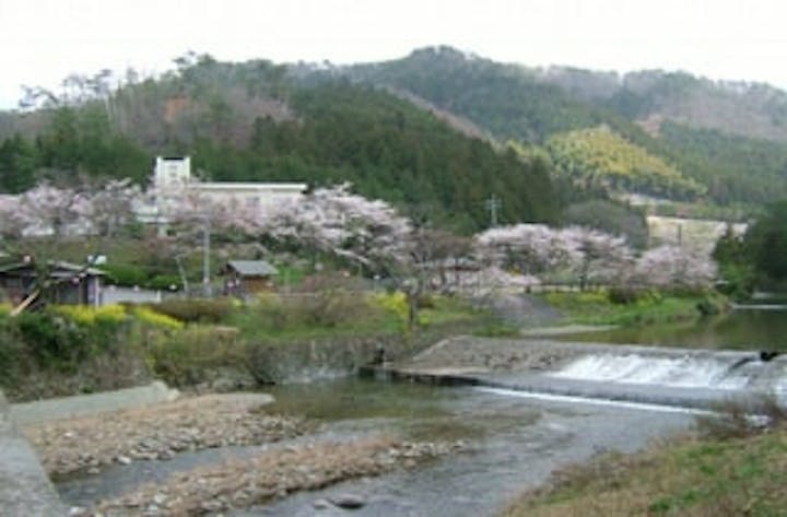 石船温泉／さくら