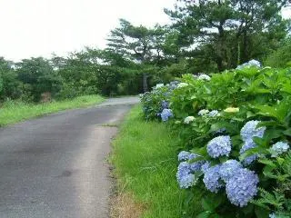 スポットの写真