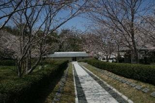 スポットの写真