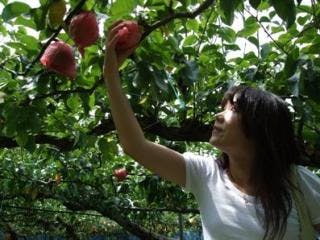 スポットの写真