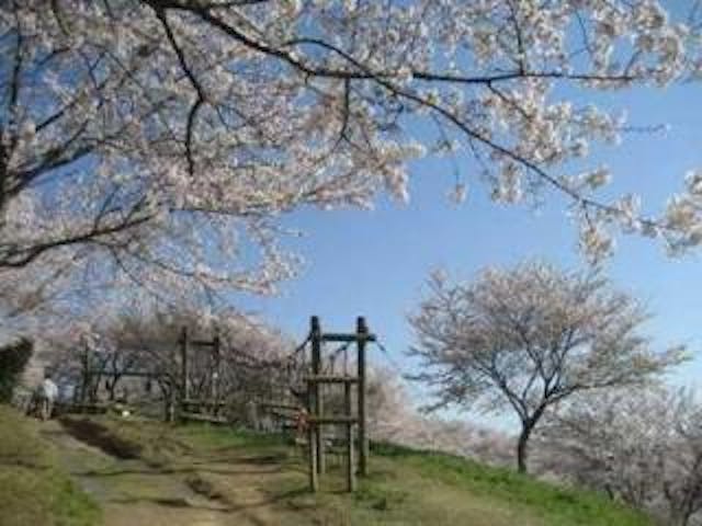 竜王山公園ハイキングコース