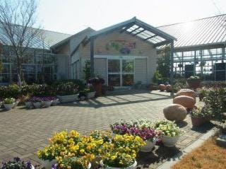 スポットの写真