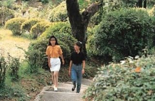 スポットの写真