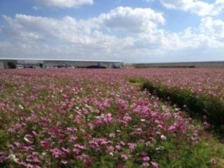 スポットの写真