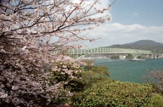 スポットの写真