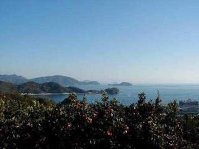 周防大島町みかんの木オーナー制度／みかん