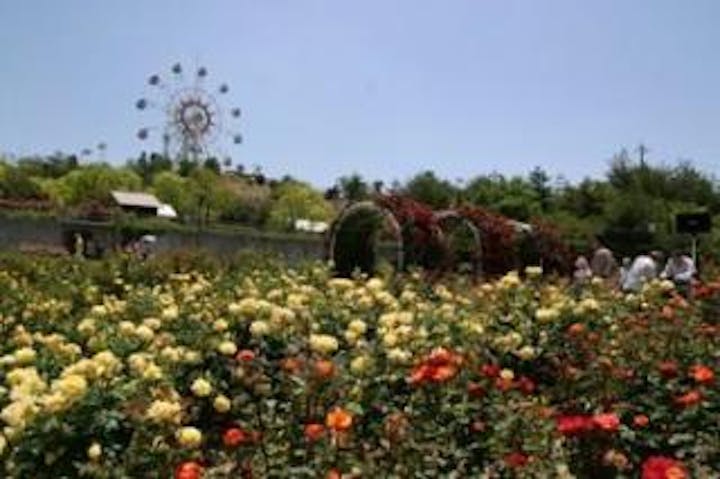 蜂ヶ峯総合公園