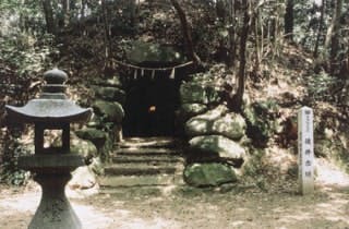 スポットの写真