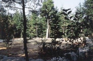 スポットの写真