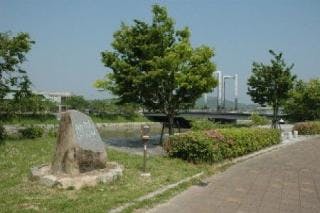 スポットの写真