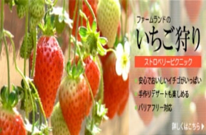 観光農園ファームランド