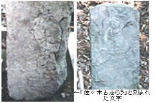 スポットの写真