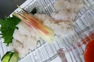 スポットの写真