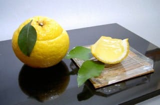 スポットの写真