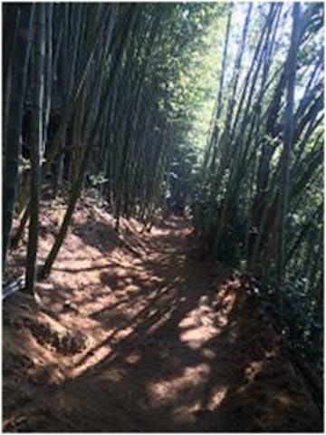 四国遍路道　恩山寺道　立江寺道