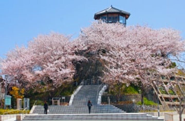 牛岐城趾公園の桜