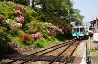 スポットの写真